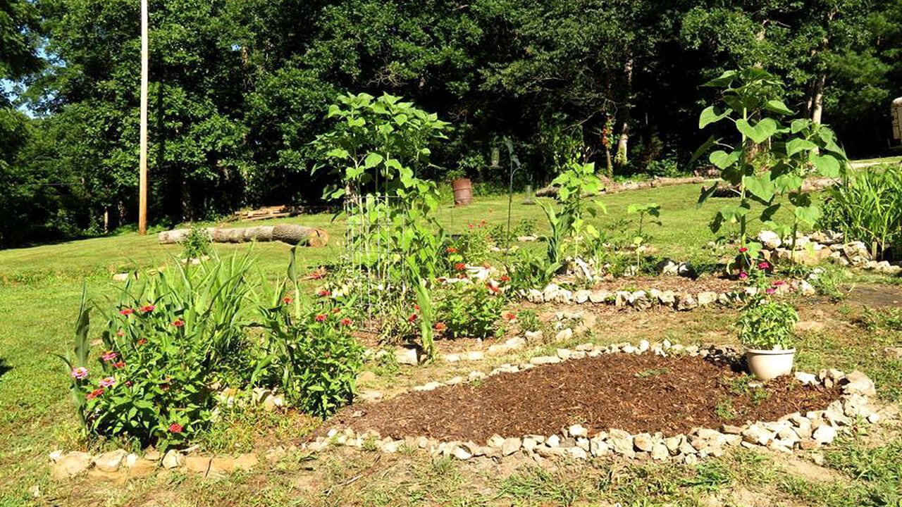Photo of Outdoor in Hartshorn