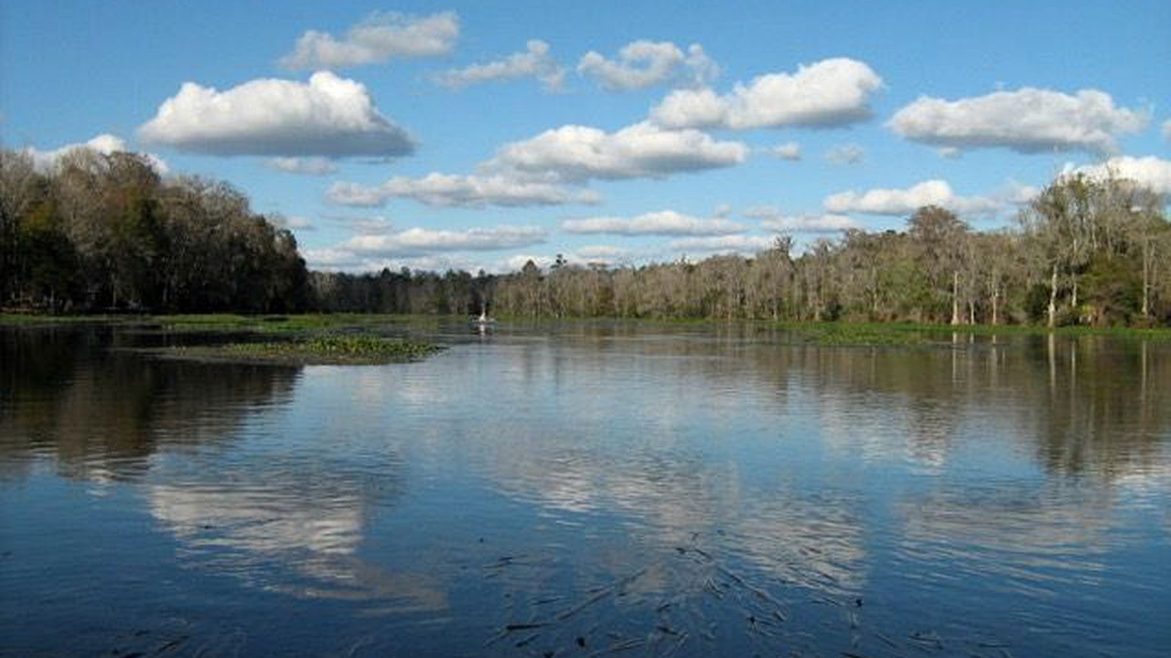 Photo of Others in Crawfordville