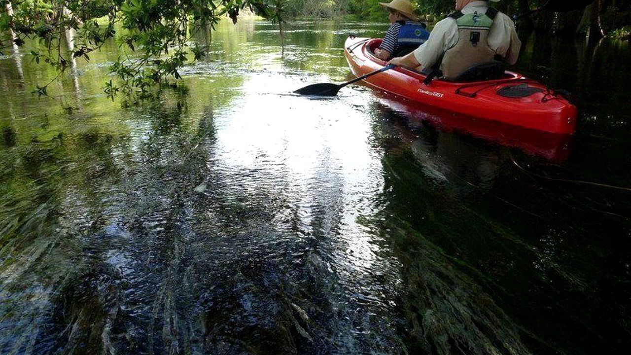 Photo of Others in Crawfordville