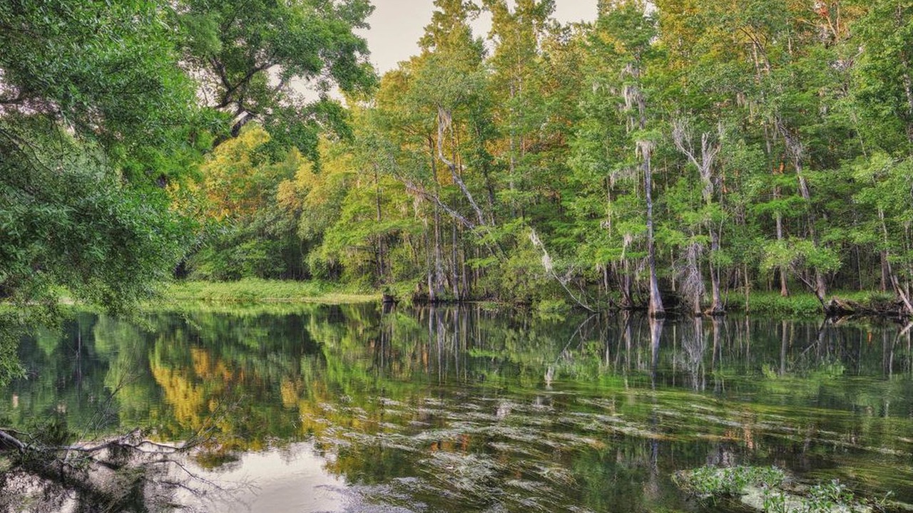 Photo of Others in Crawfordville