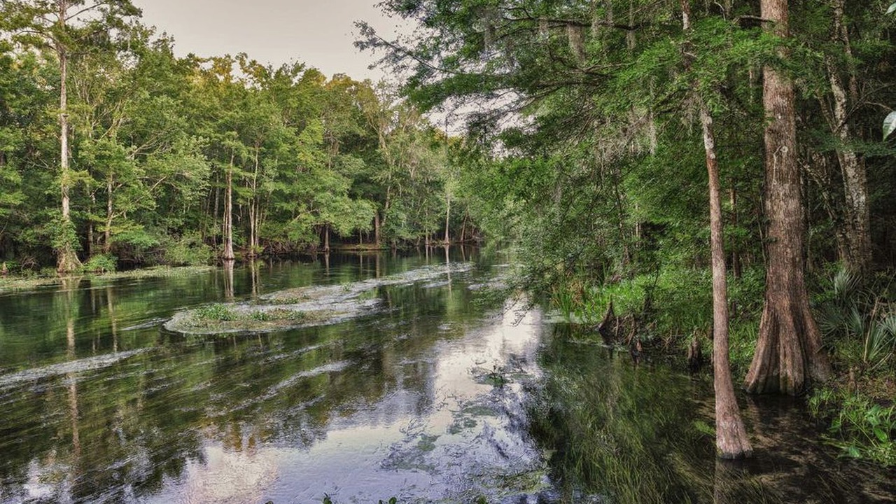 Photo of Others in Crawfordville