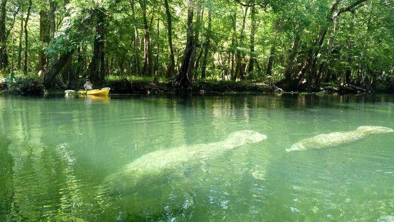 Photo of Others in Crawfordville