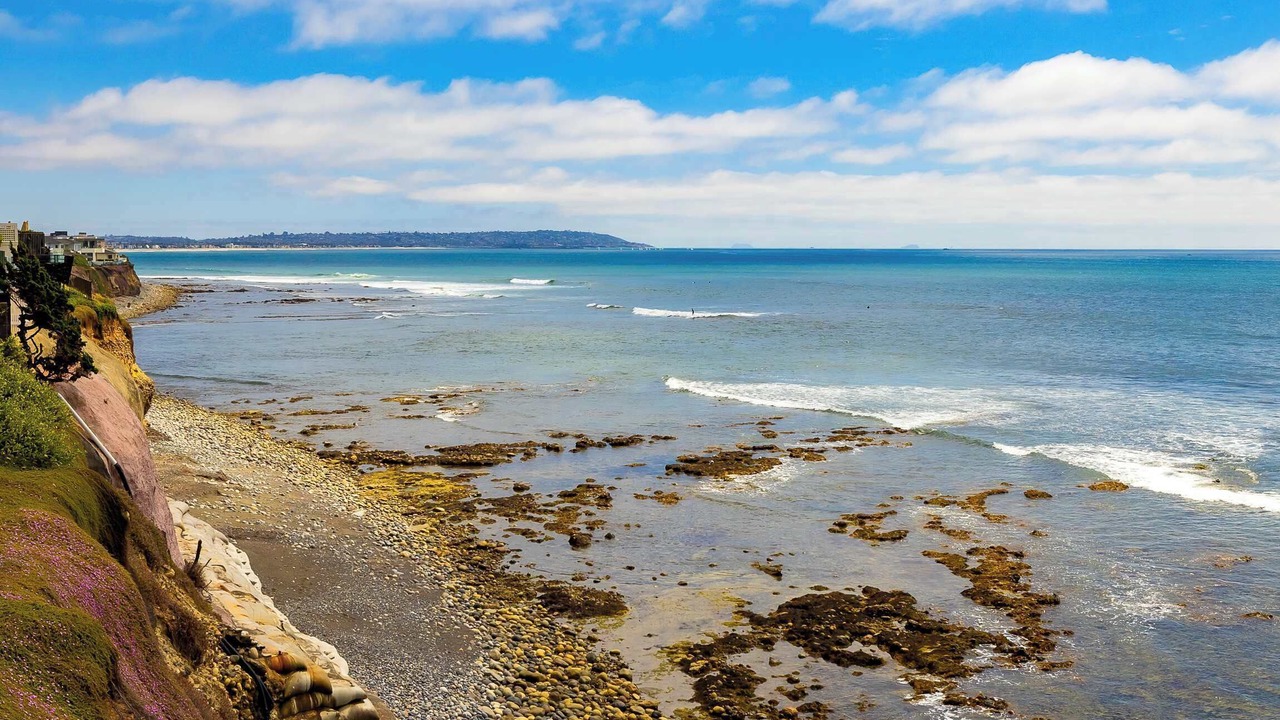 Photo of Others in La Jolla