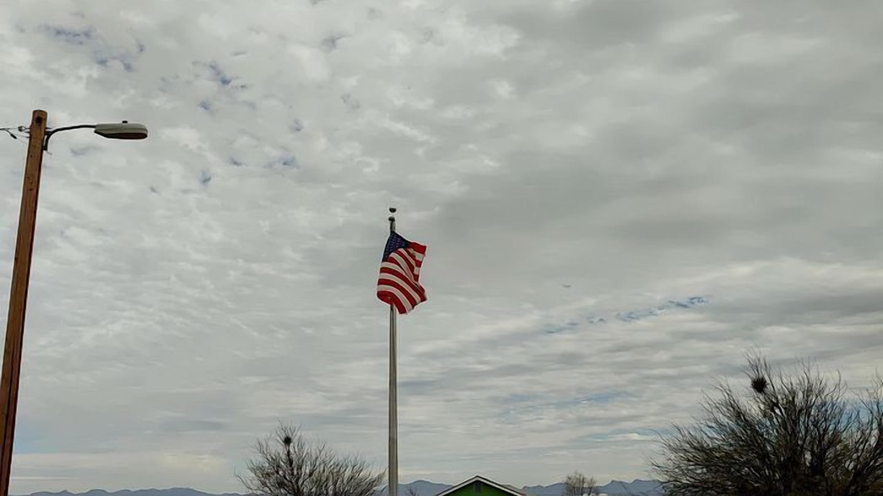 Photo of Others in McNeal