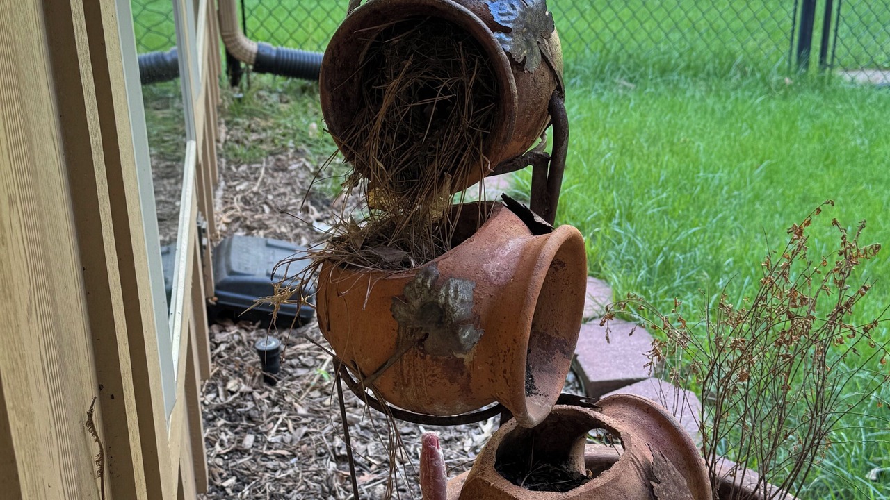 Photo of Outdoor in Holly Lake Ranch