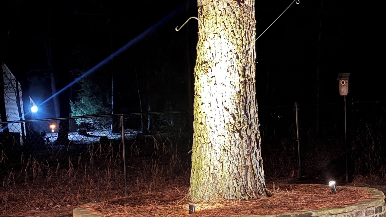 Photo of Others in Holly Lake Ranch