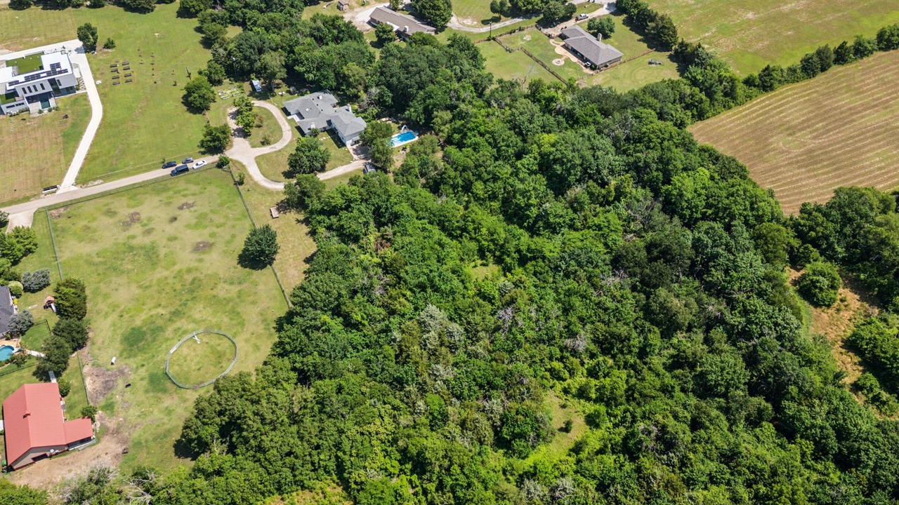 Photo of Outdoor in Allen