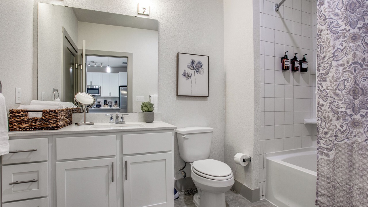 Photo of Bathroom in Downtown San Antonio