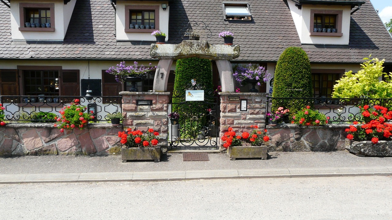 Photo of Outdoor in Beblenheim