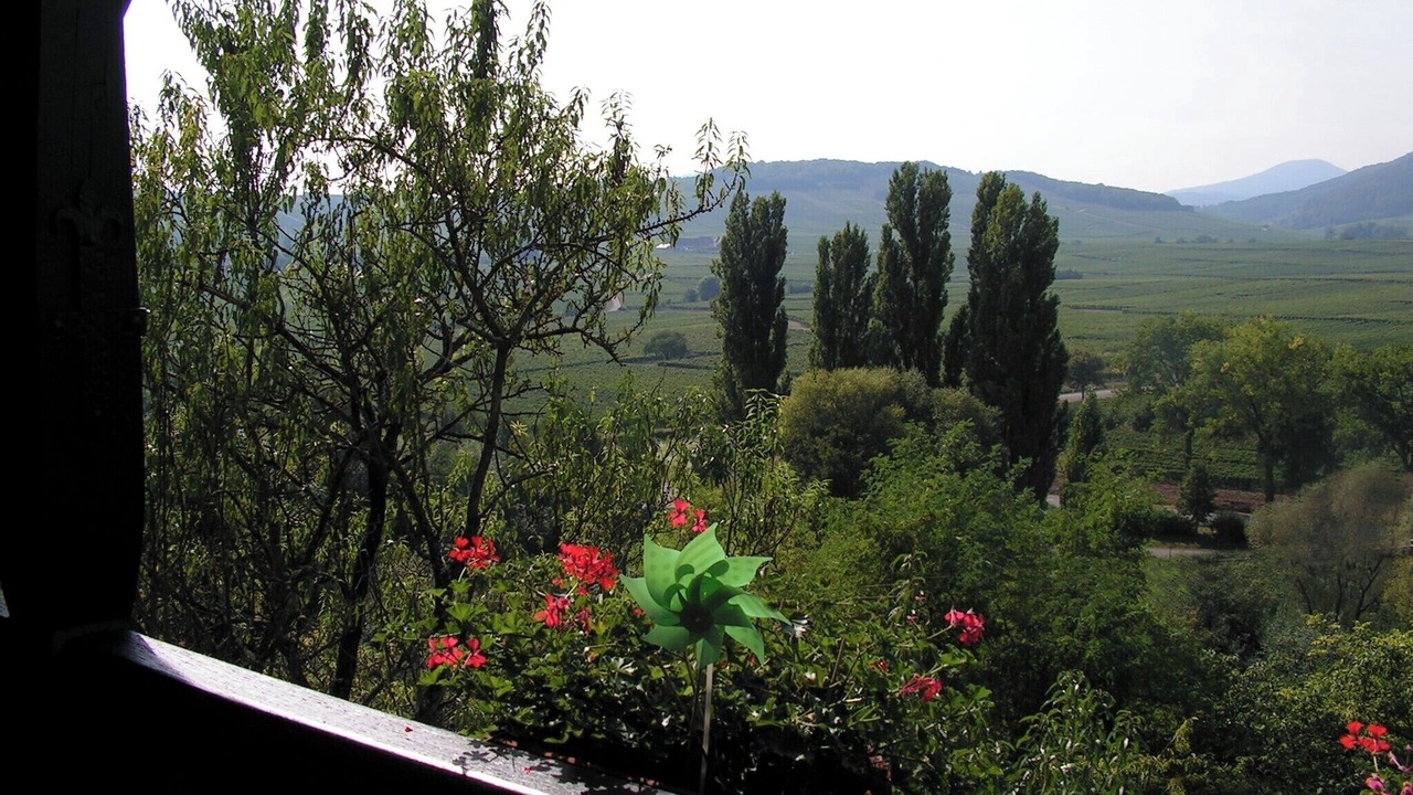 Photo of Outdoor in Beblenheim