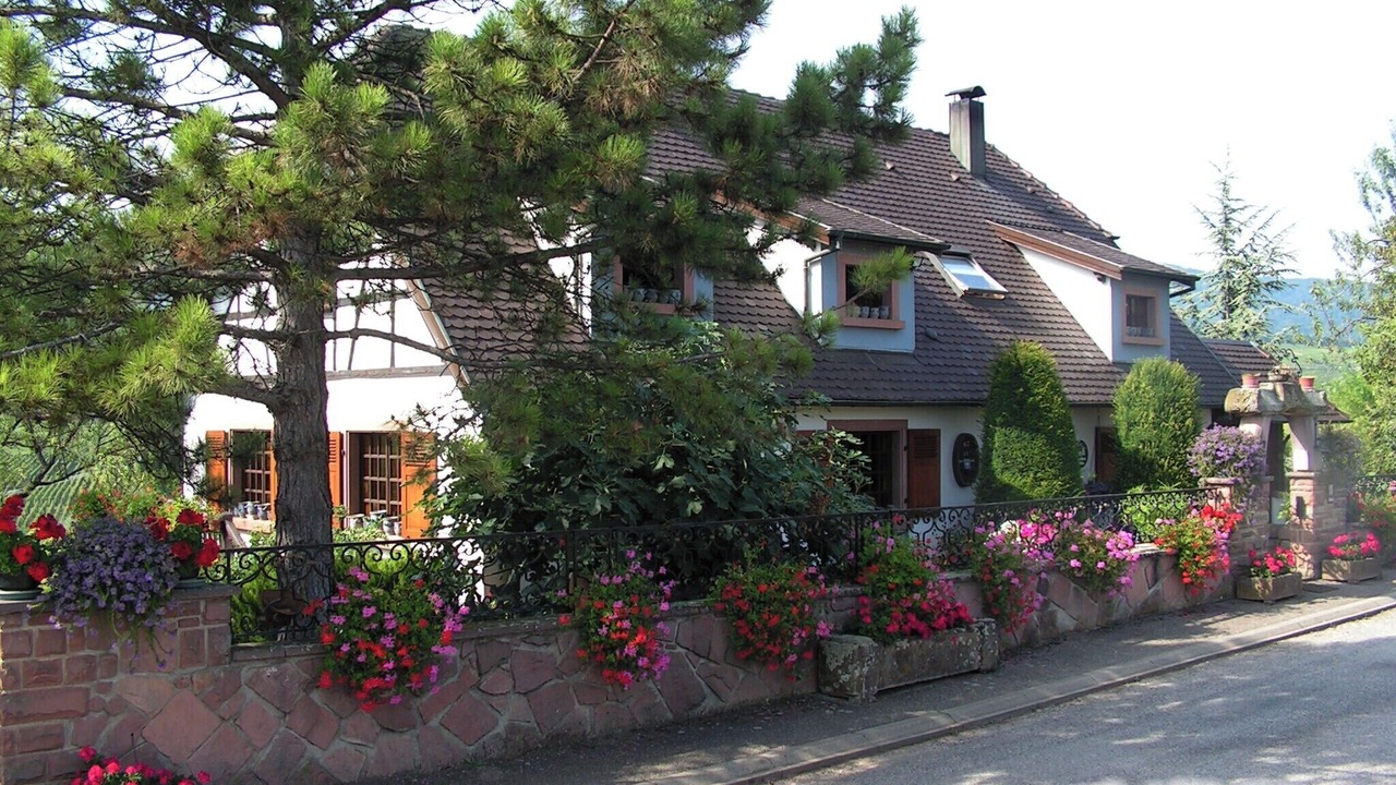 Photo of Outdoor in Beblenheim