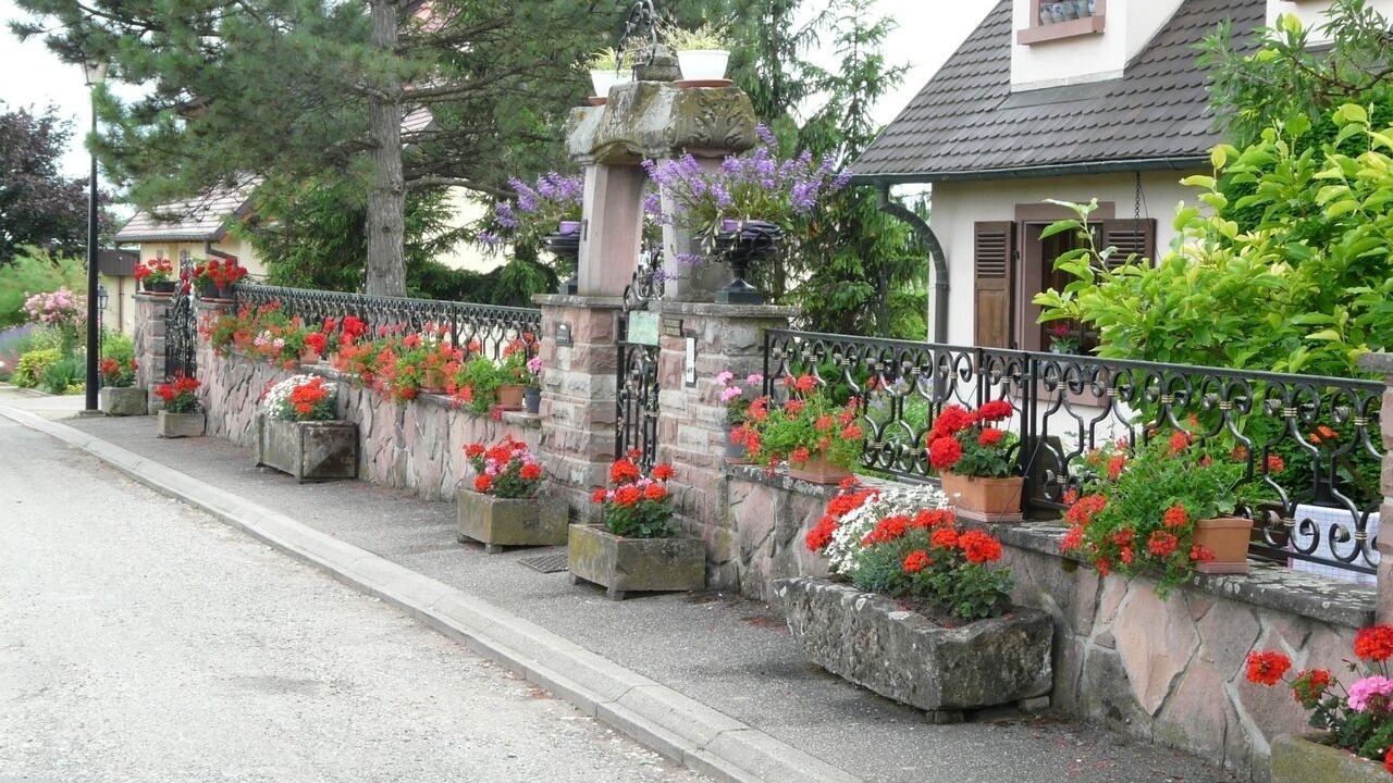 Photo of Outdoor in Beblenheim