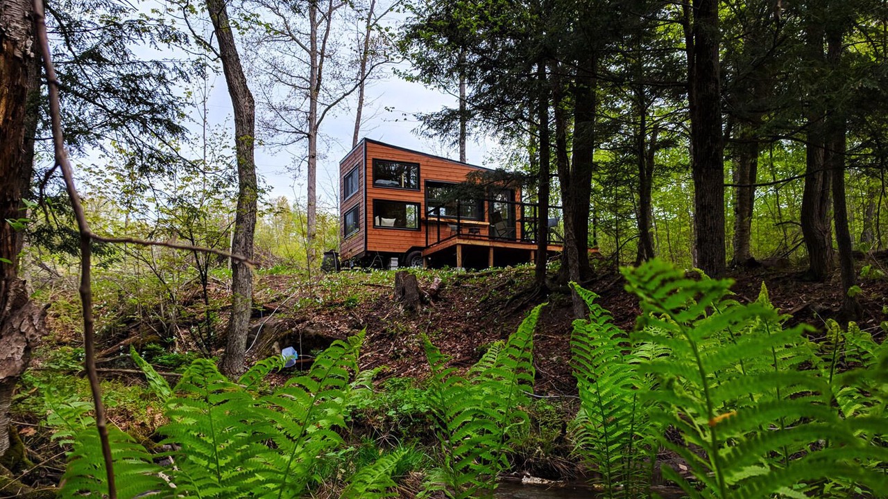 Photo of Outdoor in Mississippi Mills