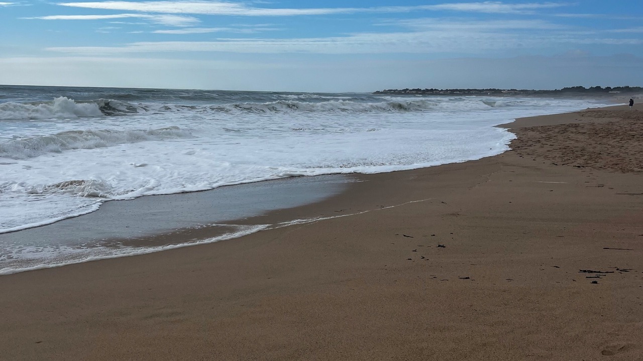 Photo of Others in Brem Sur Mer