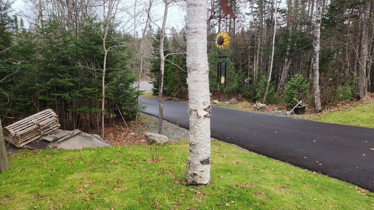 Photo of Outdoor in St. Andrews
