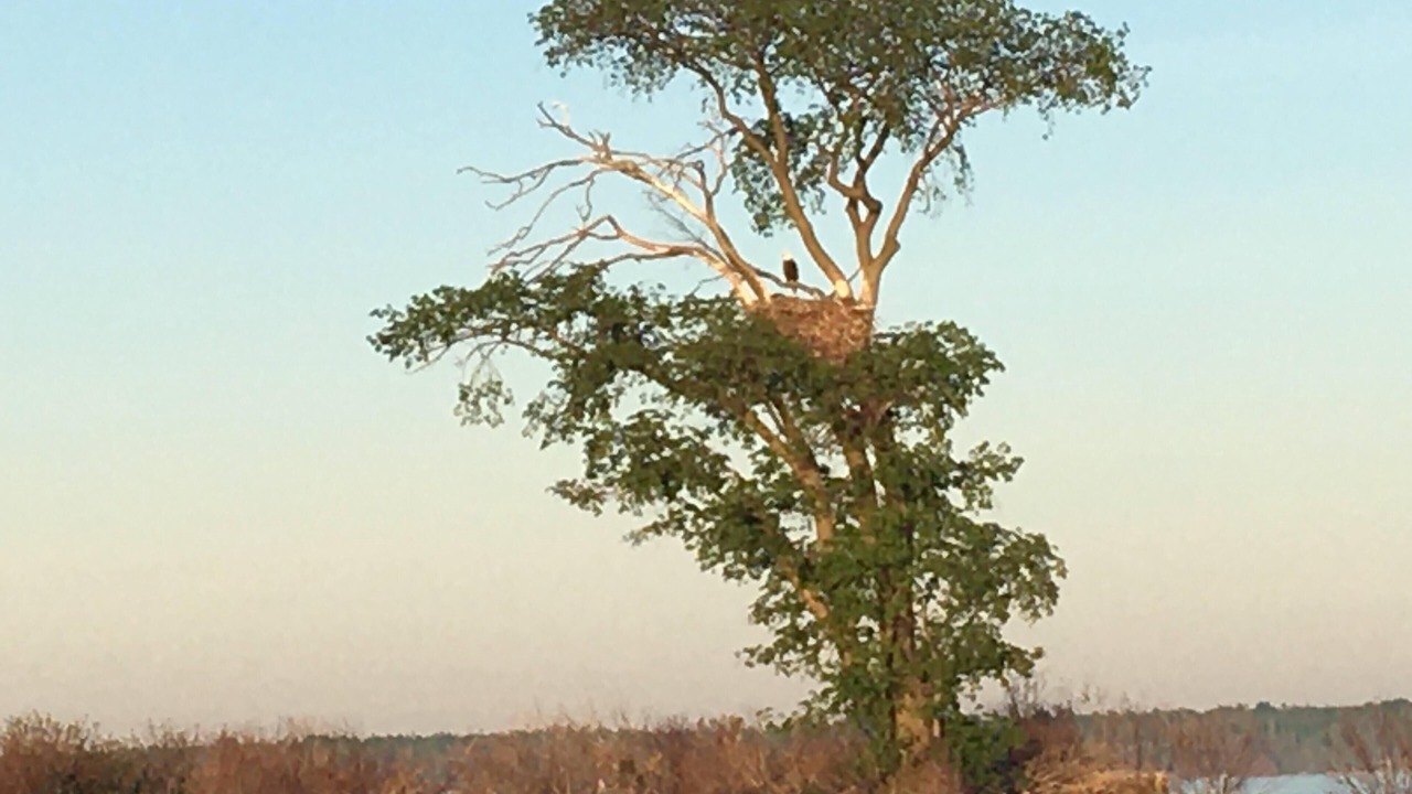 Photo of Others in Lion's Head