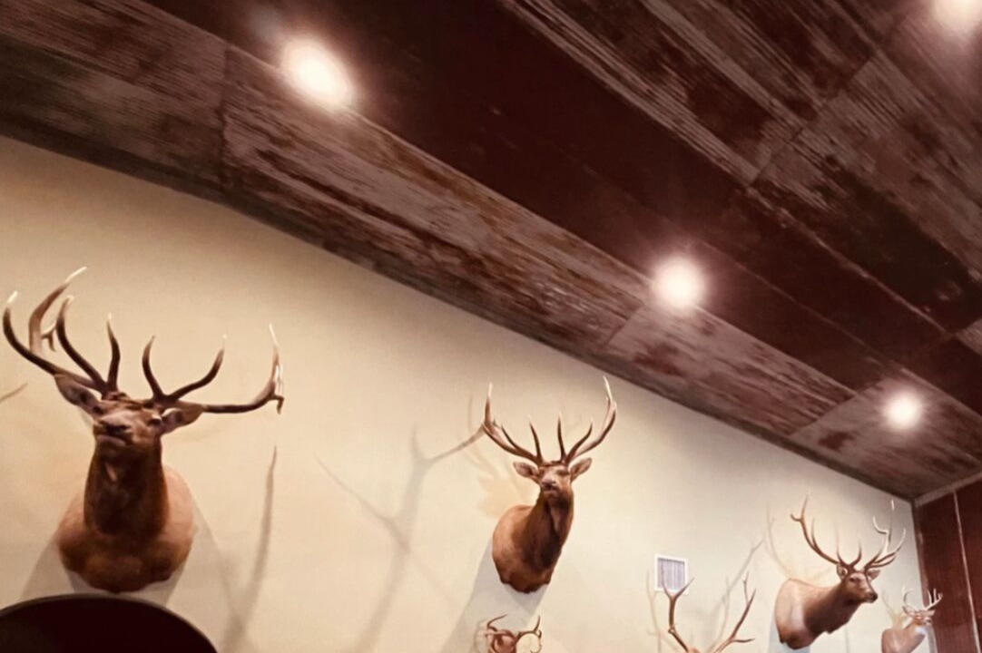 Photo of Others in Bend