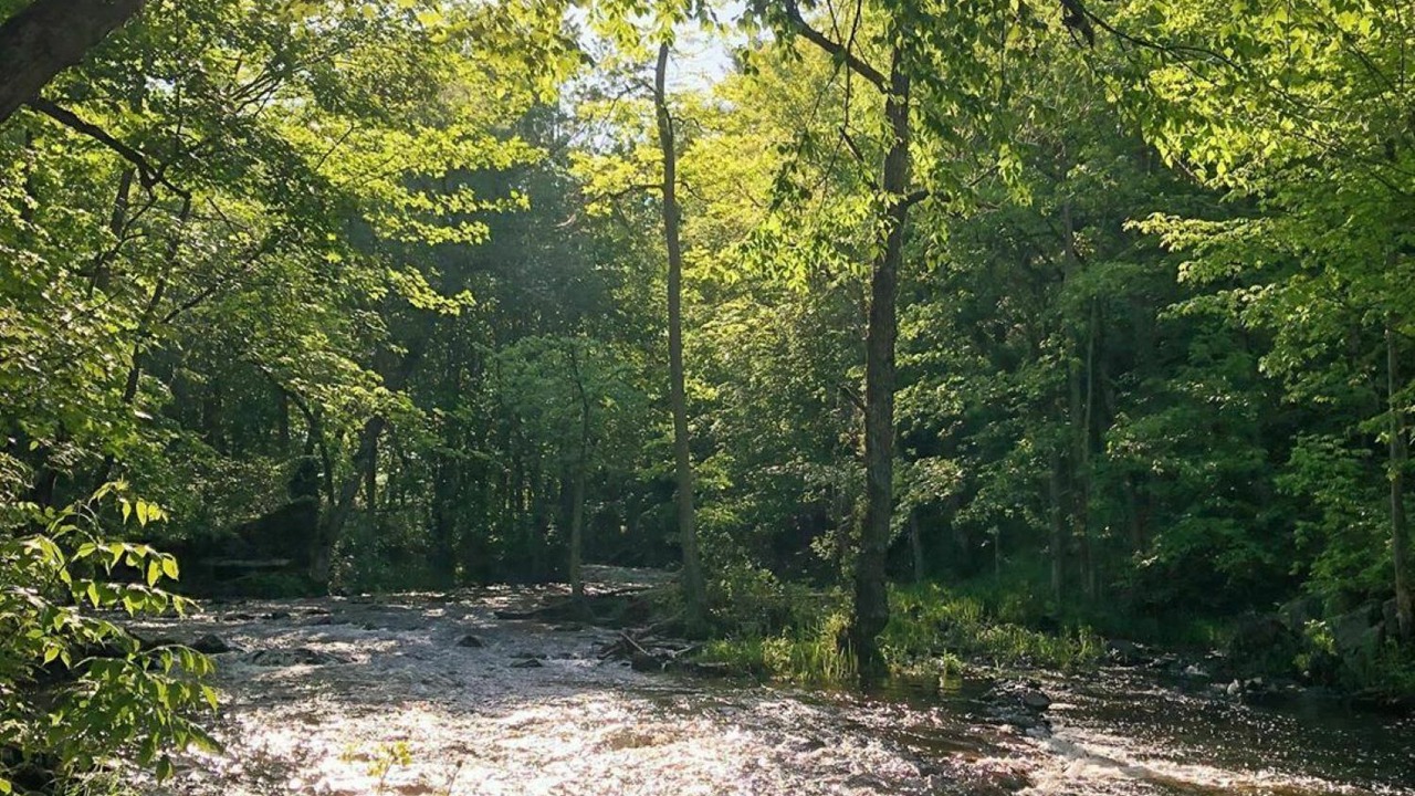 Photo of Others in Maberly