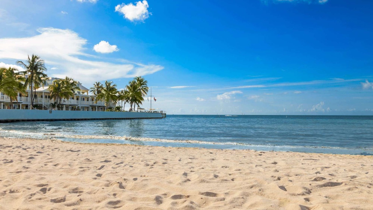 Photo of Others in Uptown - Upper Duval