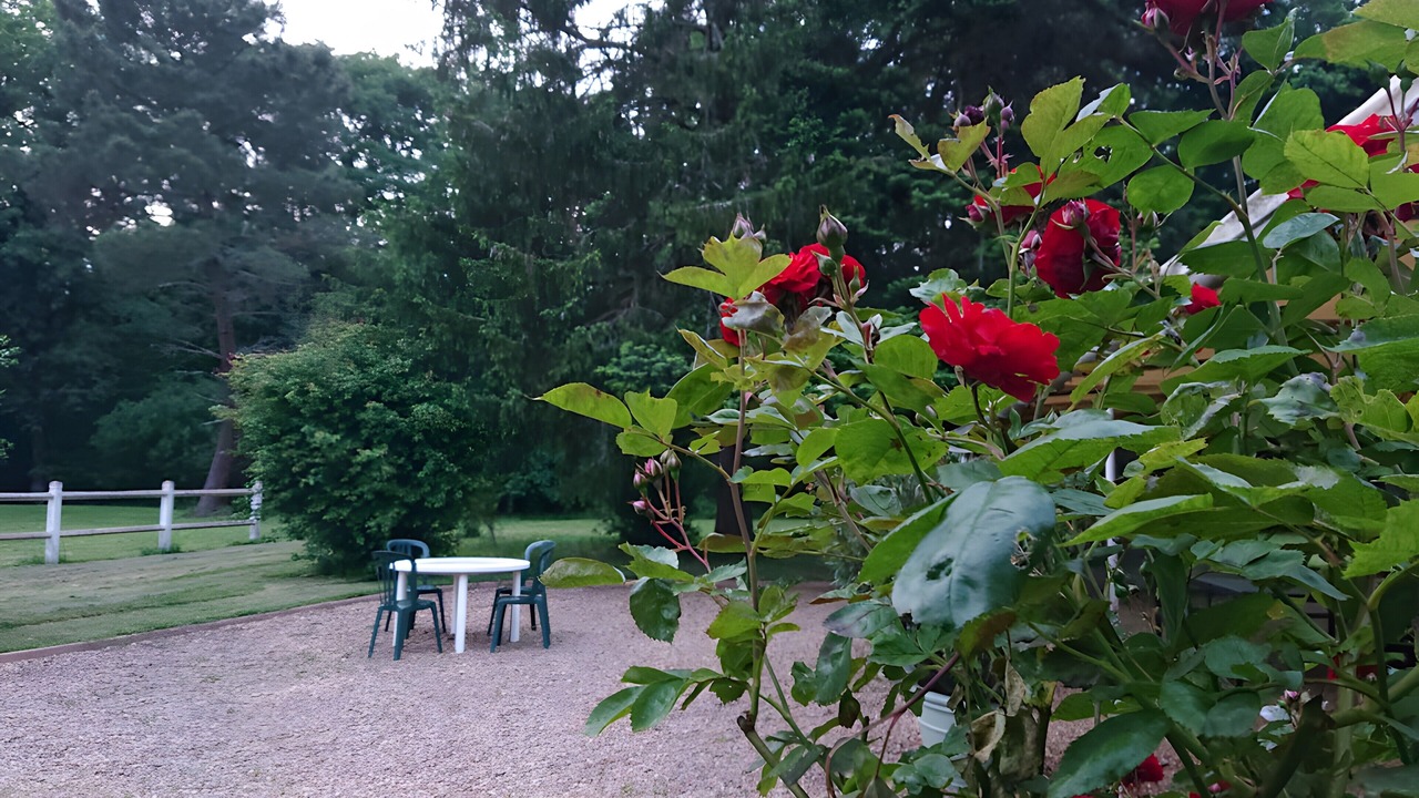 Photo of Outdoor in Amboise