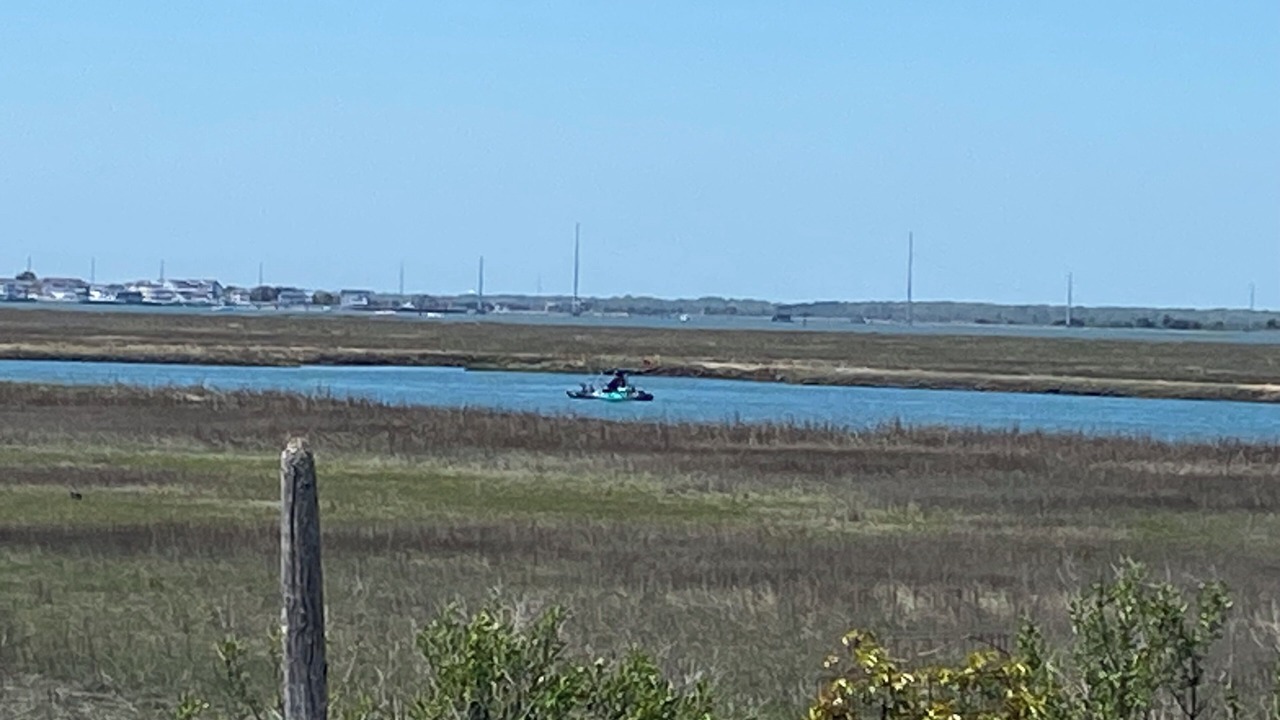Photo of Others in Anglesea