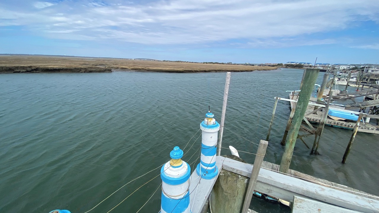 Photo of Others in Anglesea