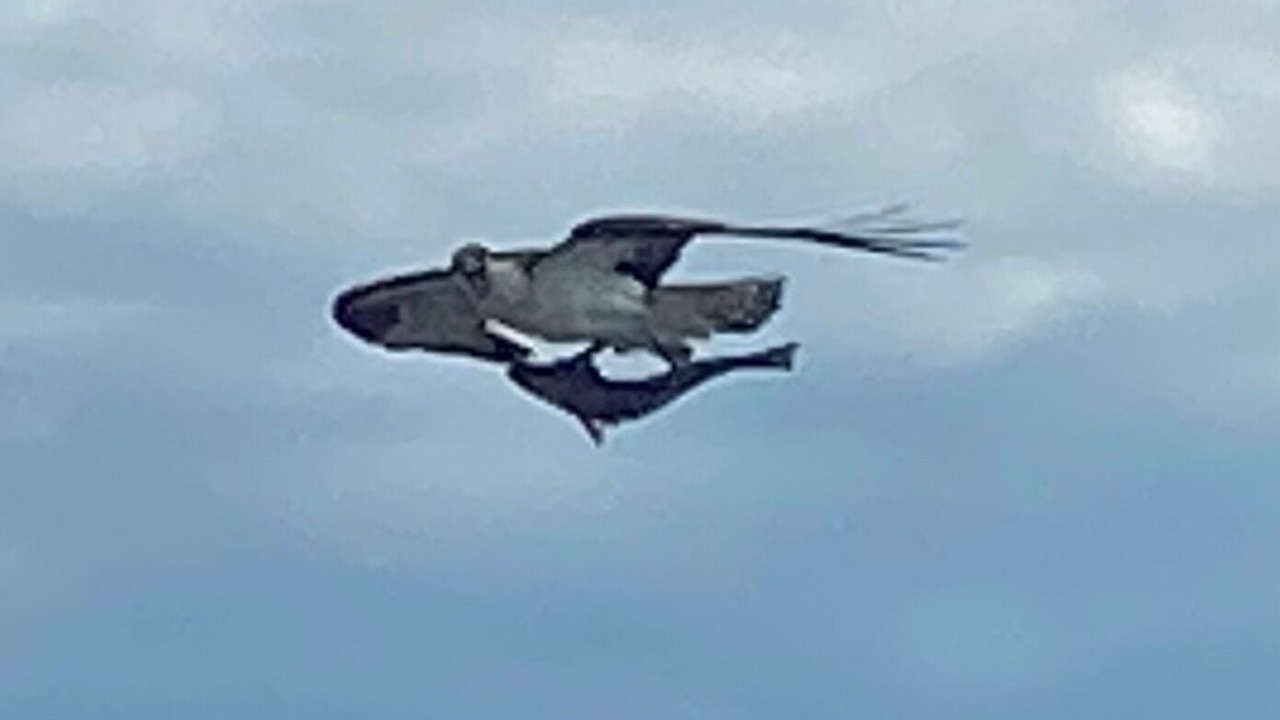 Photo of Others in Anglesea