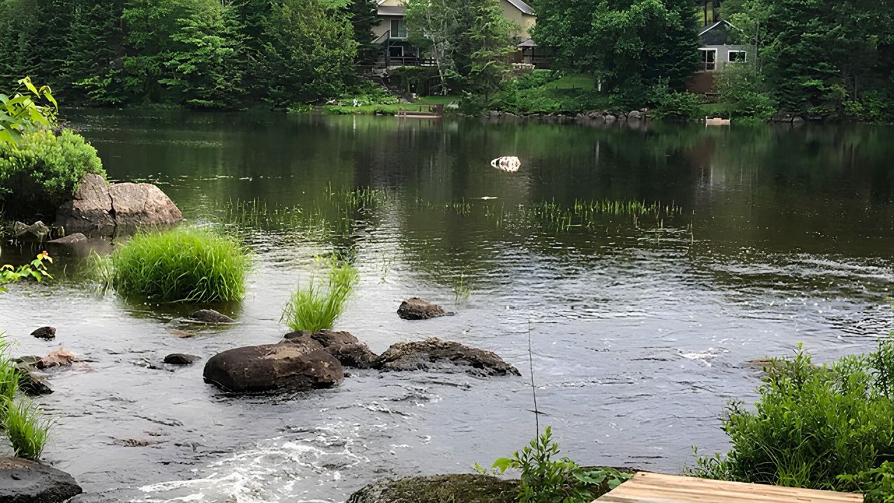 Photo of Others in St-Adolphe-d'Howard