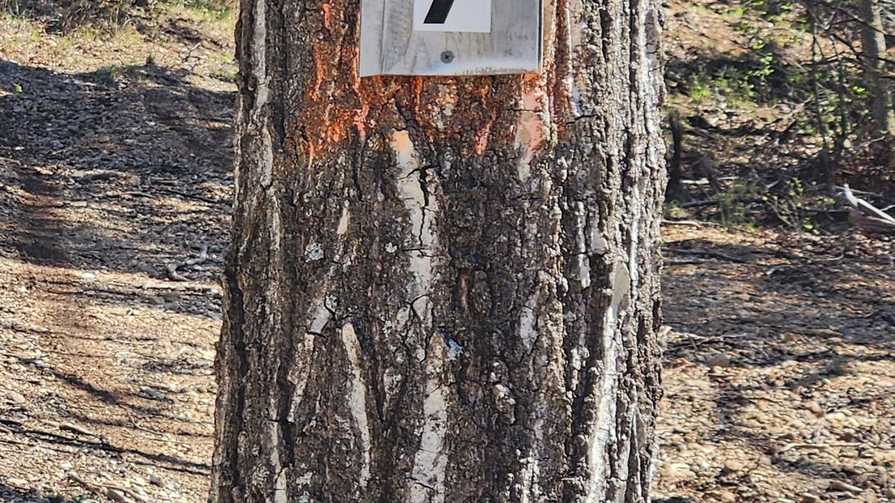 Photo of Outdoor in Sunrise Beach