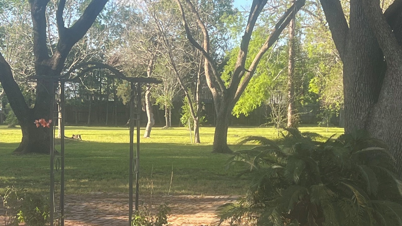 Photo of Outdoor in Pasadena