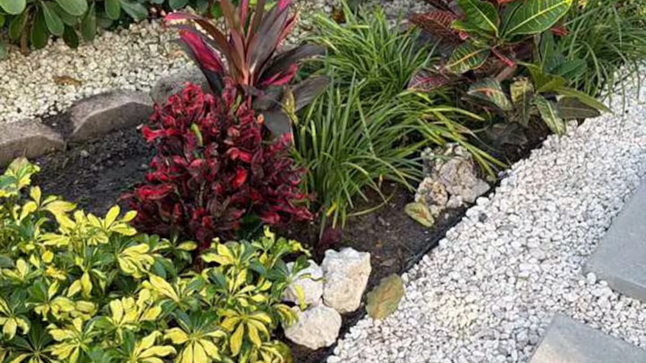 Photo of Outdoor in Biscayne Park