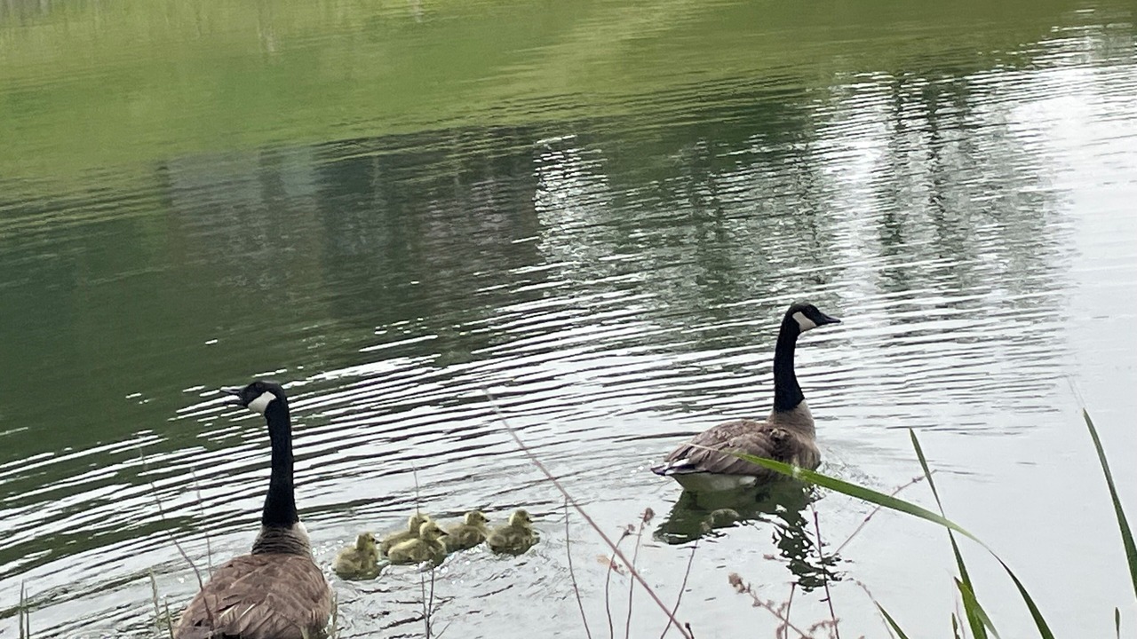 Photo of Others in Burks Fork
