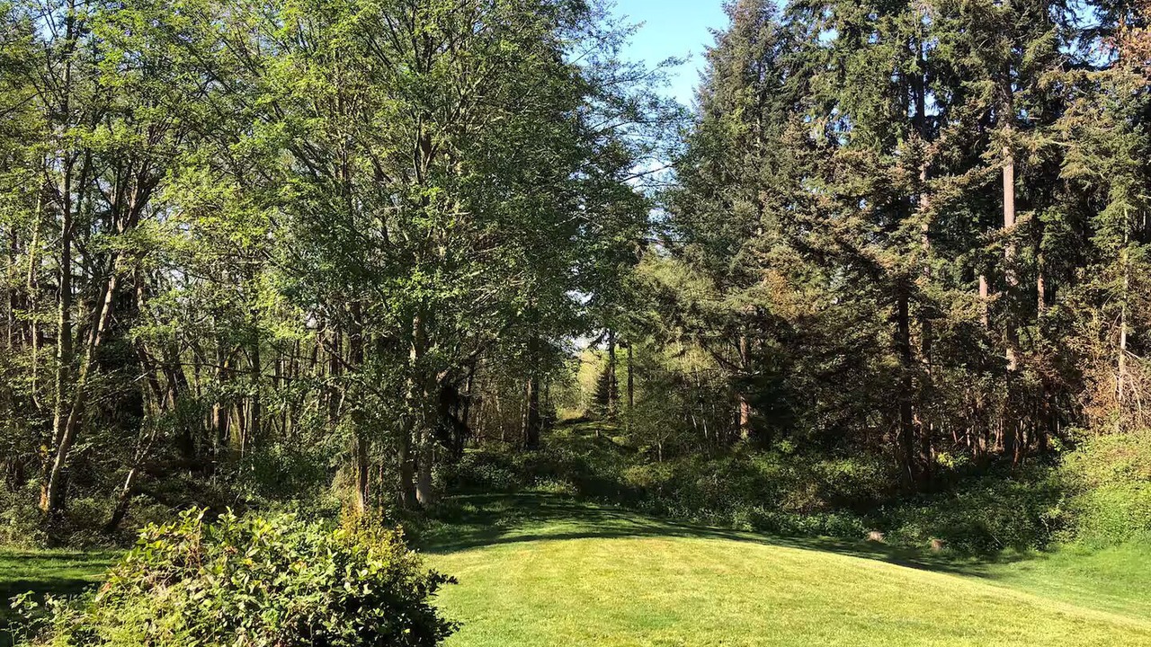 Photo of Others in Vashon Island