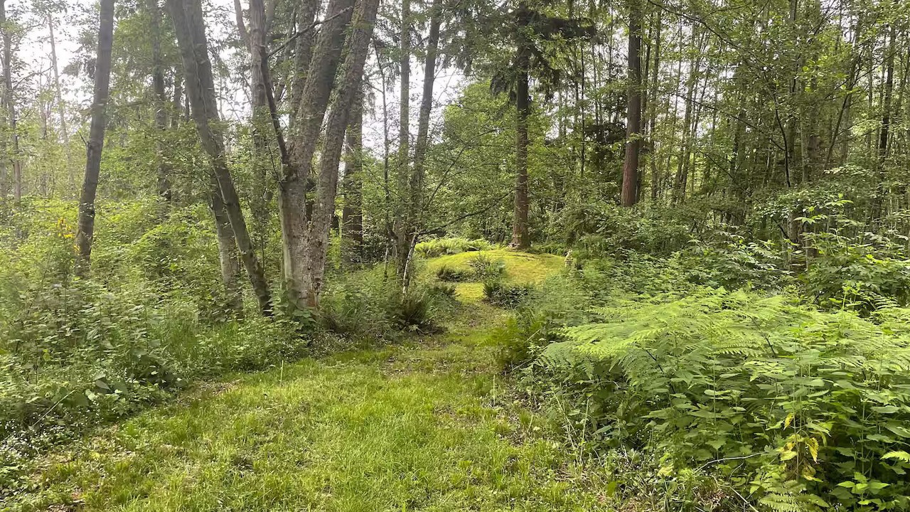 Photo of Others in Vashon Island