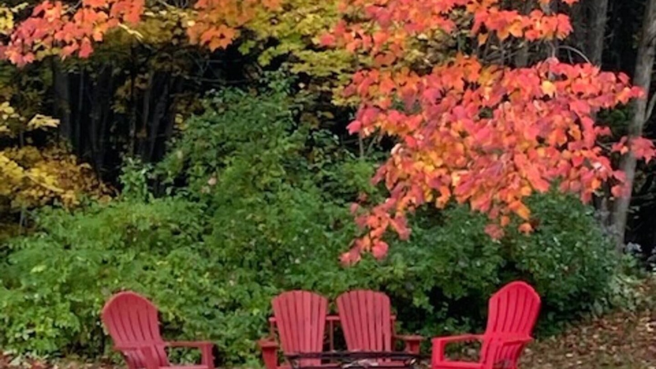 Photo of Outdoor in Essex County