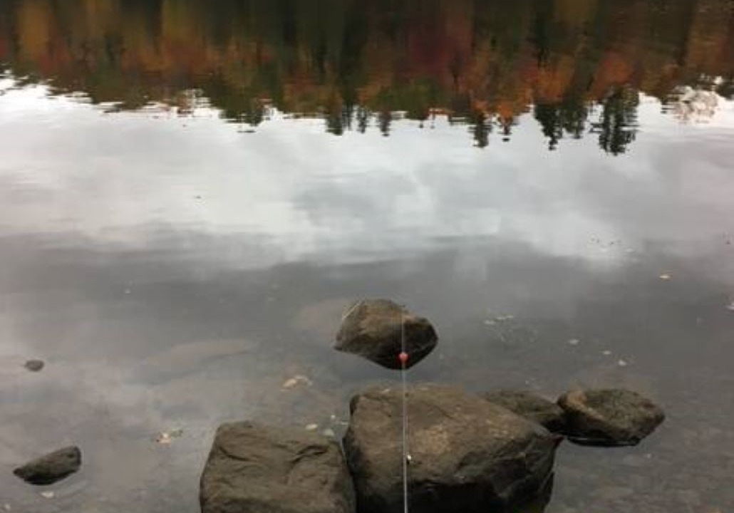 Photo of Others in Essex County