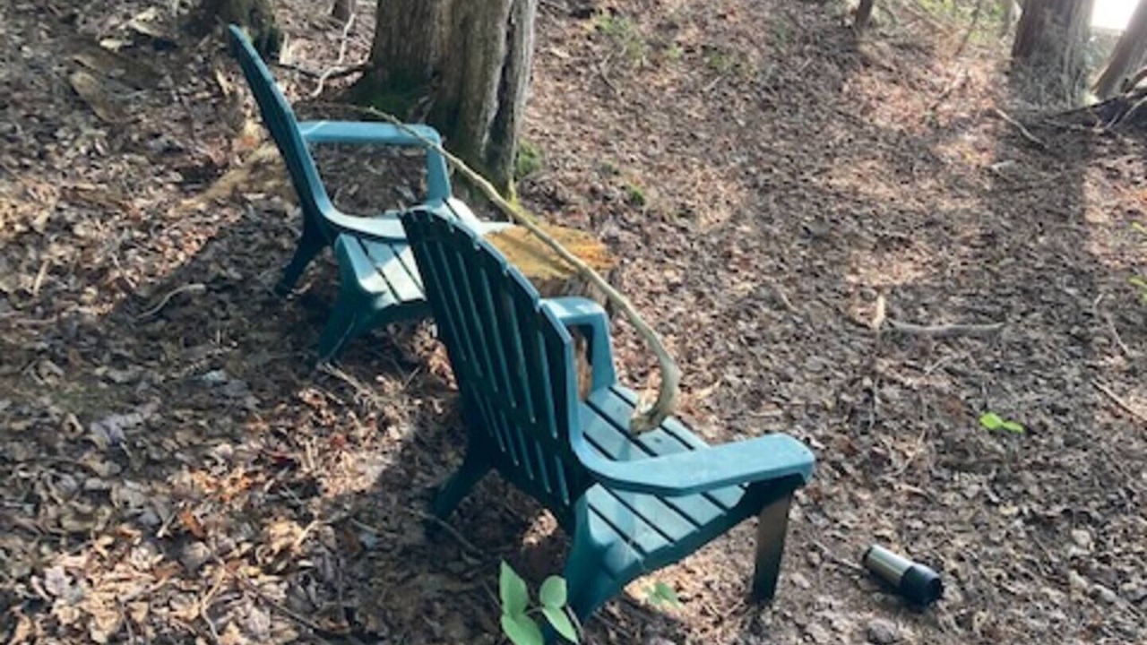 Photo of Outdoor in Essex County