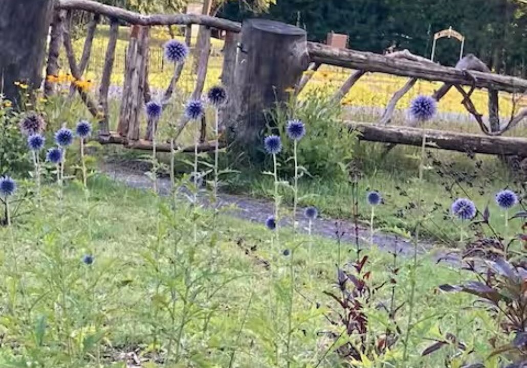 Photo of Outdoor in Essex County
