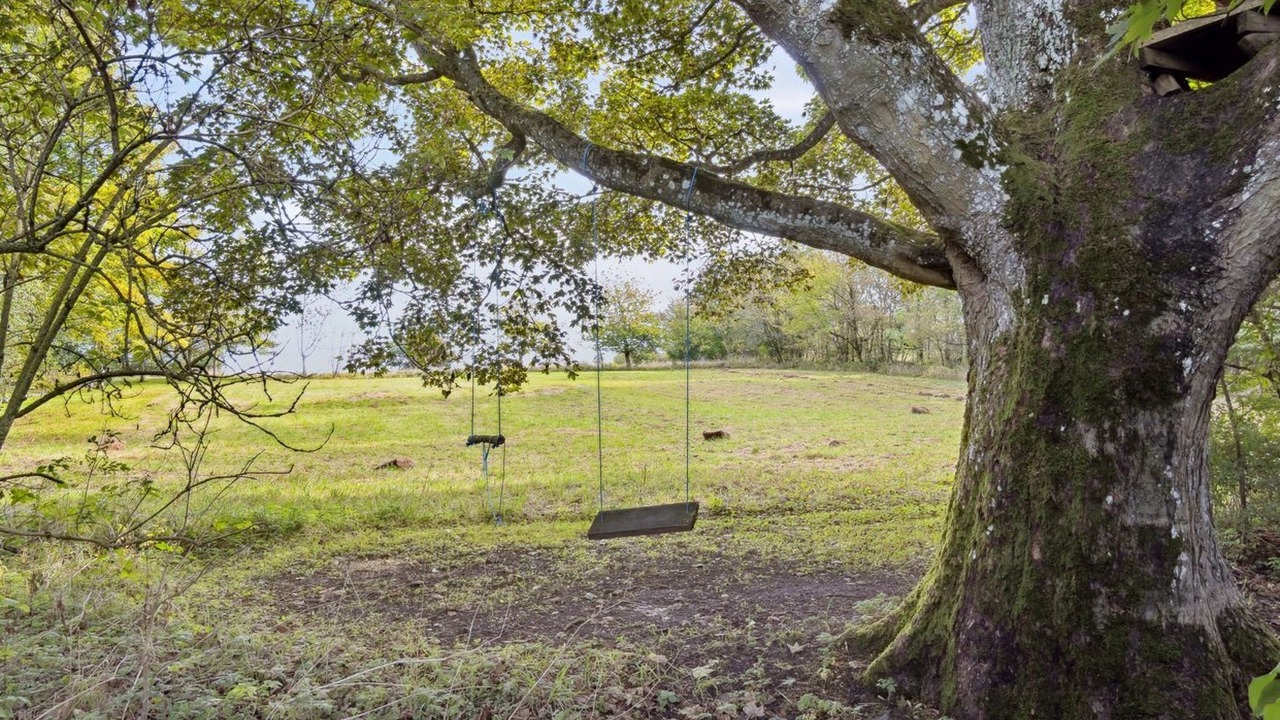 Photo of Outdoor in Nexo