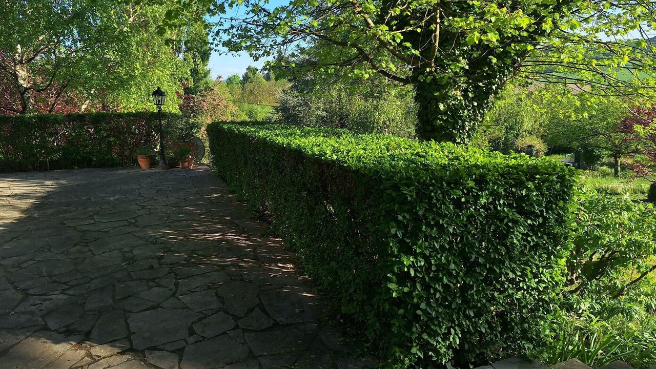 Photo of Outdoor in Saint-Babel