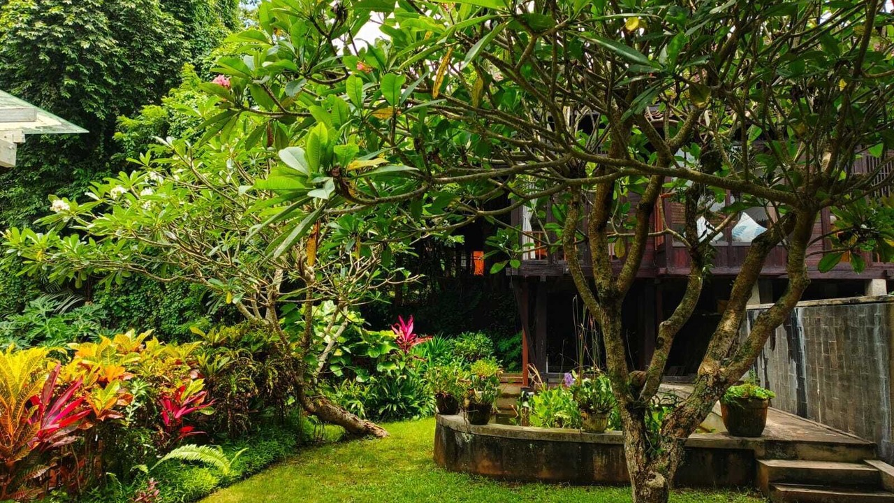 Photo of Outdoor in Melayang