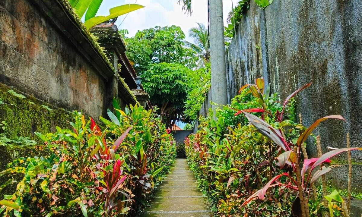 Photo of Outdoor in Melayang