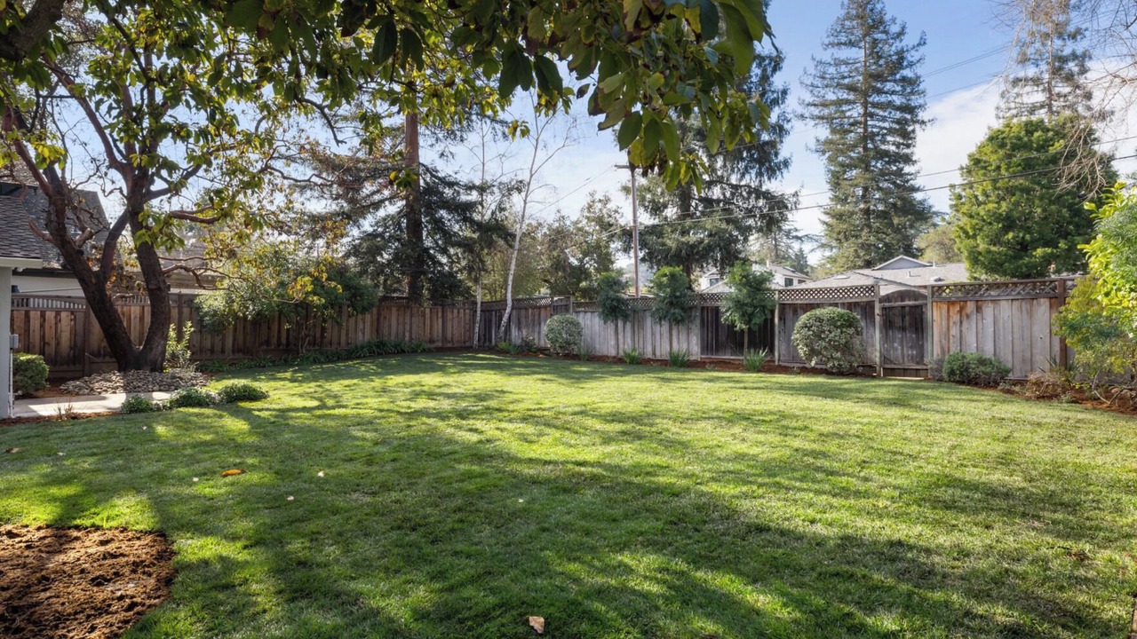 Photo of Outdoor in North Los Altos