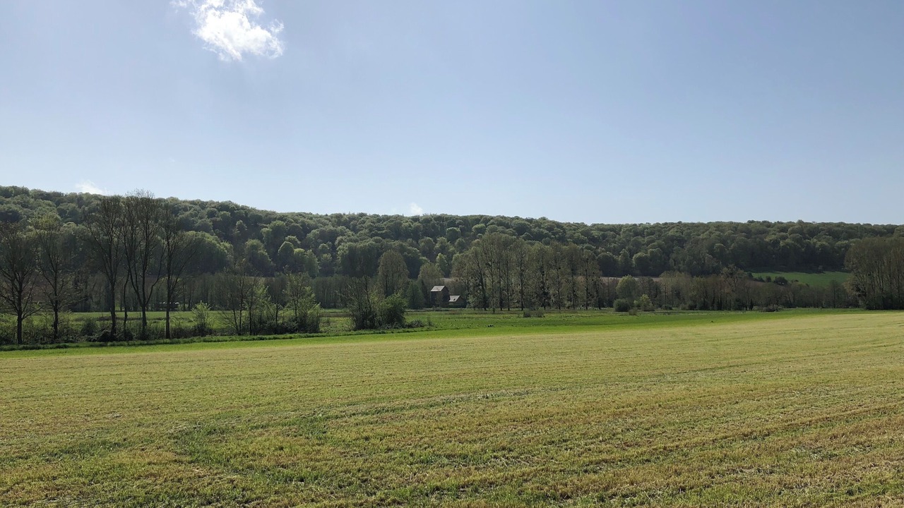 Photo of Others in Saint-Martin-le-Gaillard