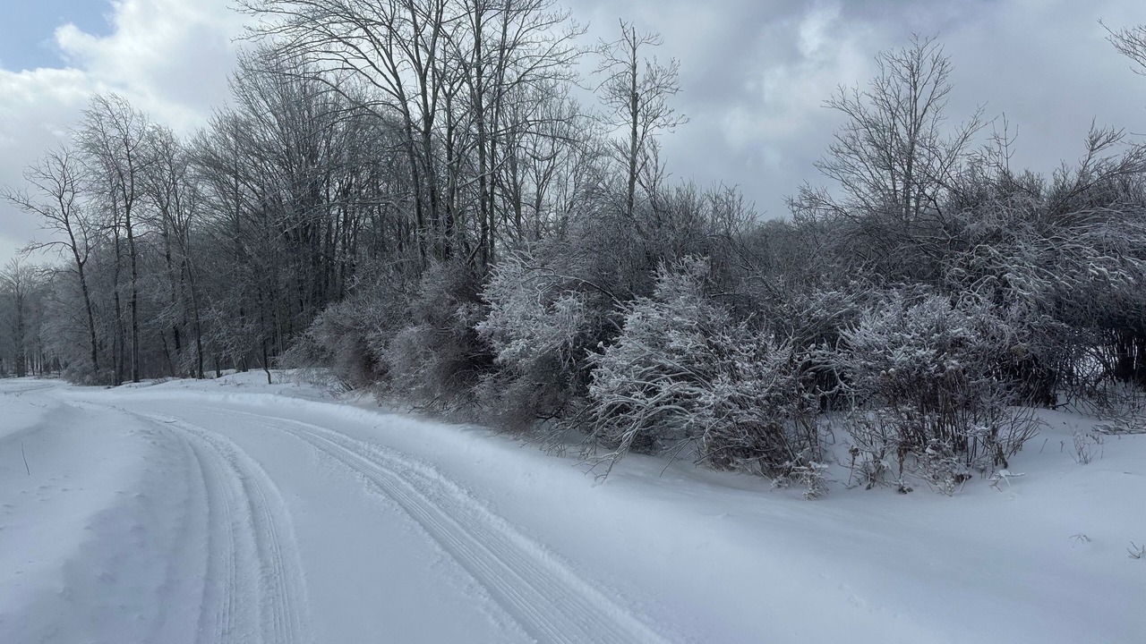 Photo of Others in Roscoe