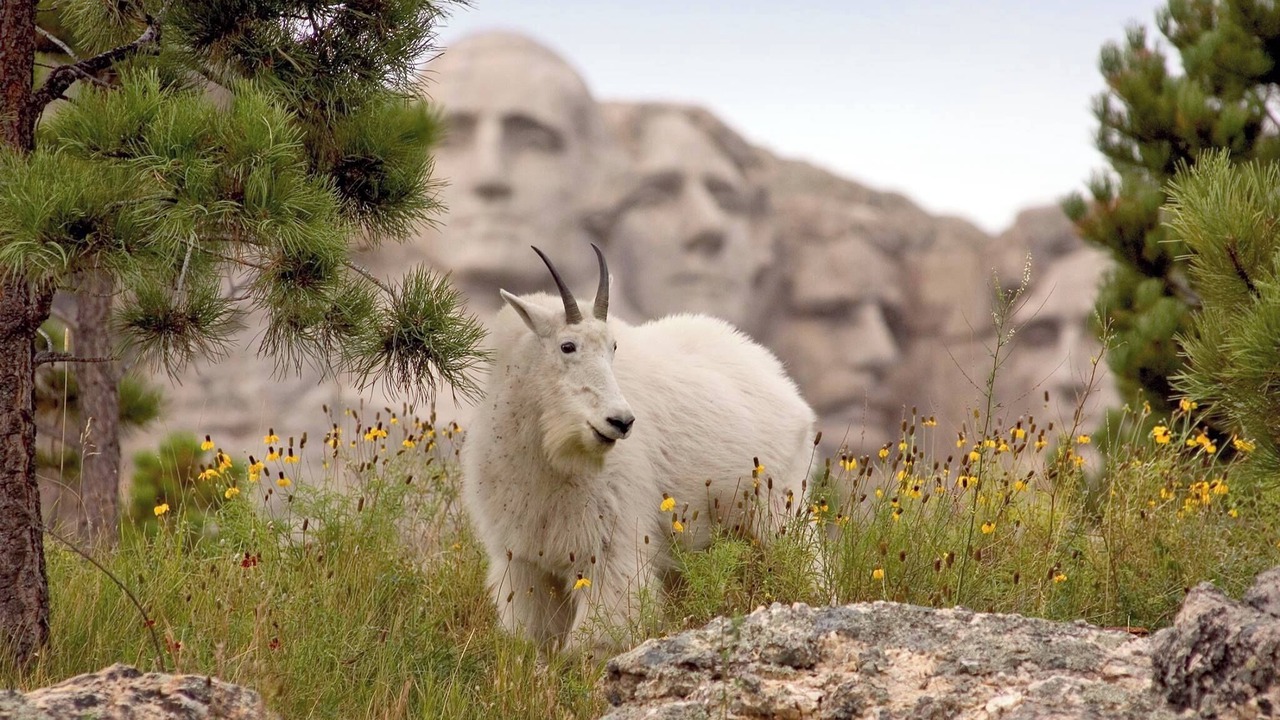Photo of Others in Custer