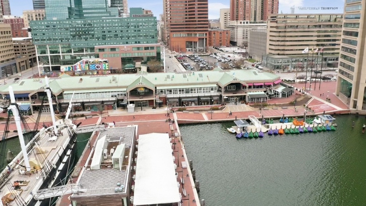 Photo of Others in Downtown Baltimore