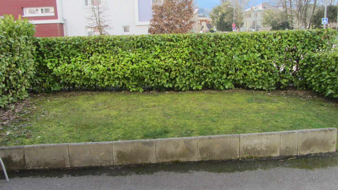 Photo of Outdoor in Faverges-Seythenex