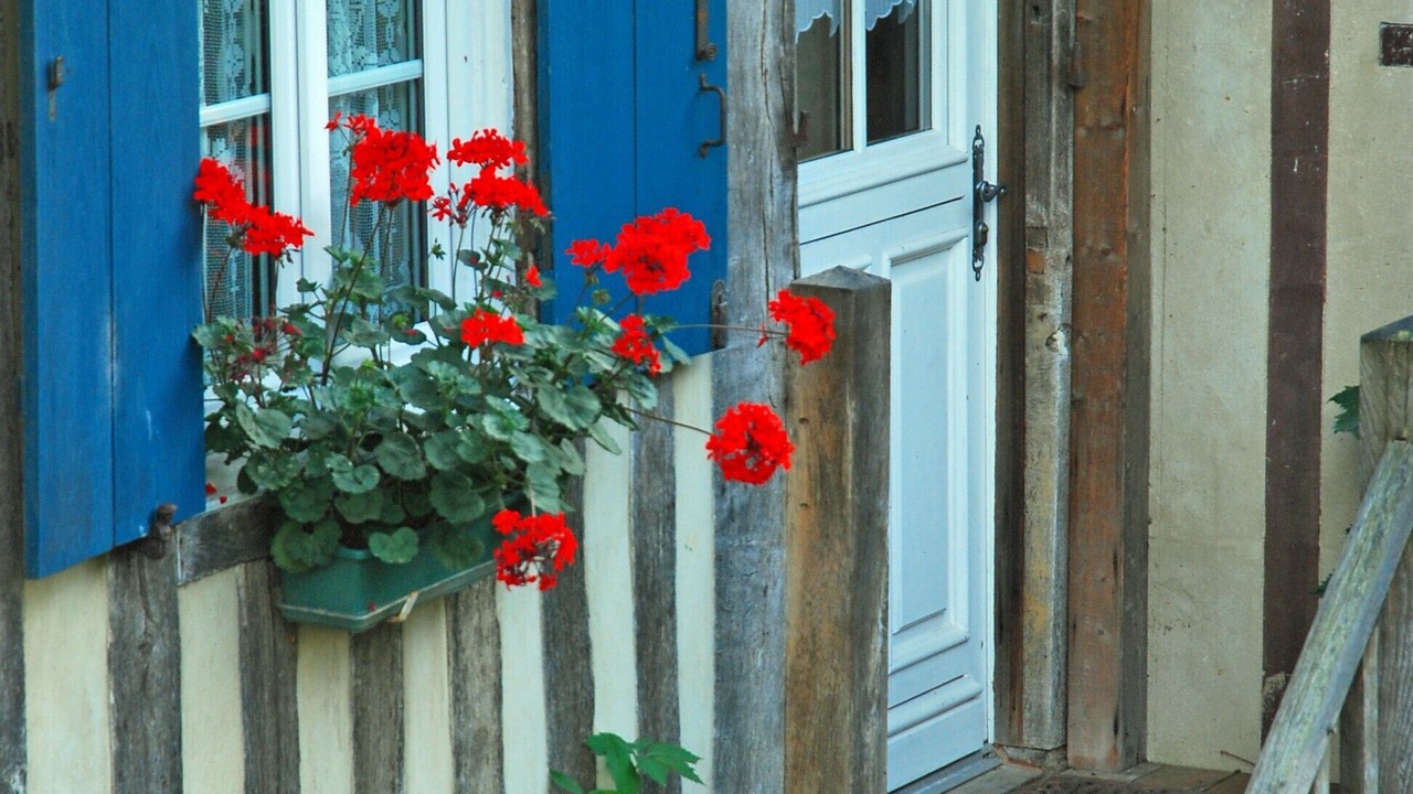 Photo of Outdoor in Courtonne-la-Meurdrac