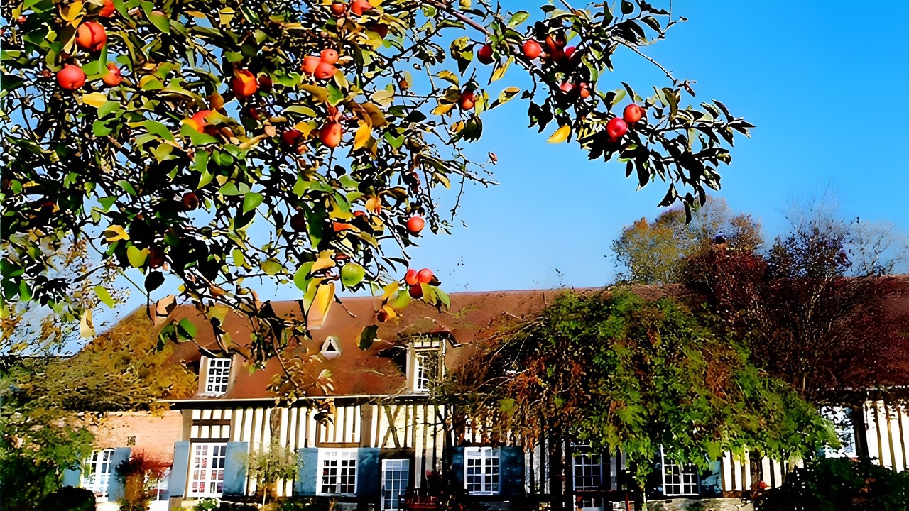 Photo of Outdoor in Courtonne-la-Meurdrac